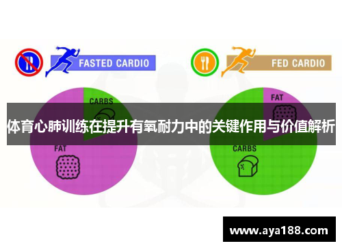 体育心肺训练在提升有氧耐力中的关键作用与价值解析